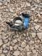 Volkswagen Golf MK4 Throttle Body 2.8 VR6 Petrol BOSCH 2000 MK4 OEM 022133062AC